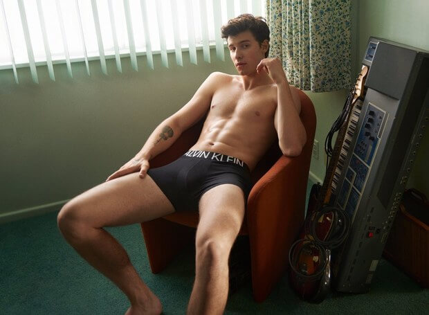 Shawn Mendes tra i nomi più ricercati del 2019 porno gay - la TOP 10 - shawn mendes calvin klein - Gay.it