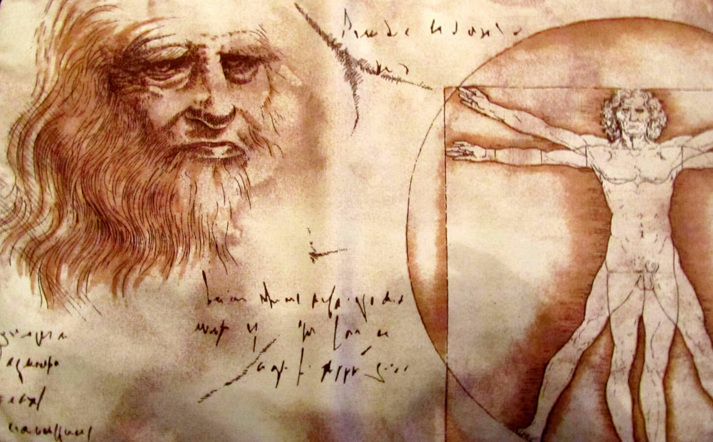 leonardo da vinci gay