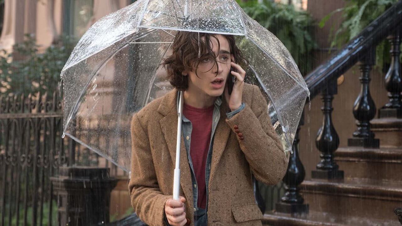 Woody Allen vs. Timothée Chalamet: “Mi ha scaricato per vincere l’Oscar con Chiamami col tuo nome”