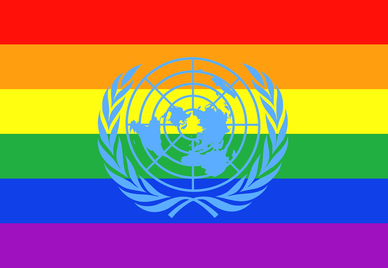 BANDIERA ONU LGBT