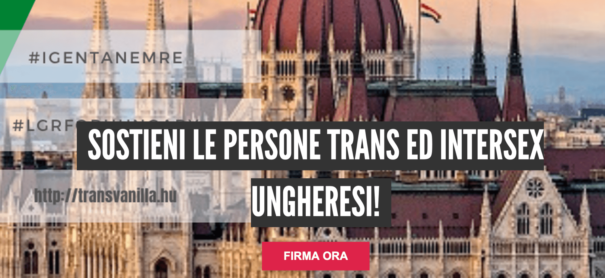 Ungheria, via a una petizione a sostegno delle persone trans: appello all’UE affinché faccia qualcosa