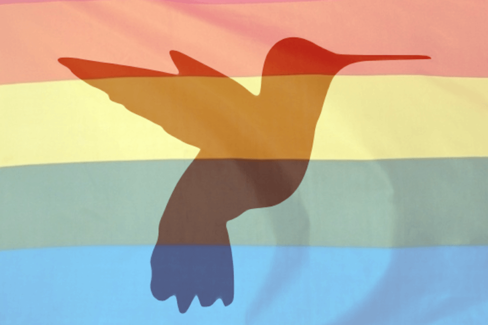 Il Grande Colibrì: "Noi migranti LGBT ci rappresentiamo da soli" - la replica del Gay Center - grande colibrì - Gay.it