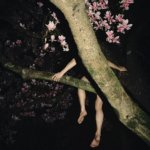 BOYS! BOYS! BOYS! - Il nudo maschile in una mostra online per il Pride Month - Boy in a Magnolia tree © Alexandre Haefeli - Gay.it