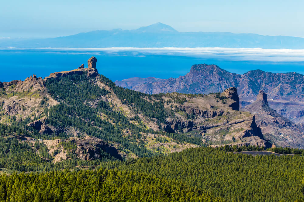 Isole spagnole: dove la natura incontra la storia e il divertimento - roque nublo isole spagnole - Gay.it