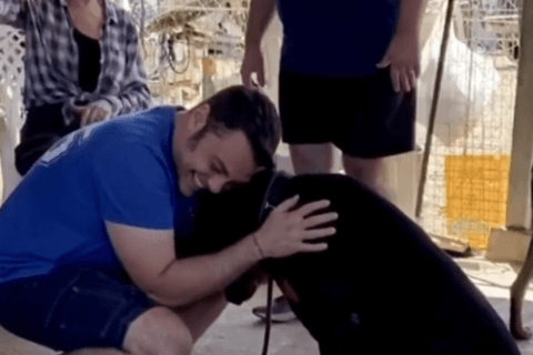 Tiziano Ferro presenta Jake, il nuovo cane adulto adottato dopo la morte di Beau - video - Tiziano Ferro - Gay.it