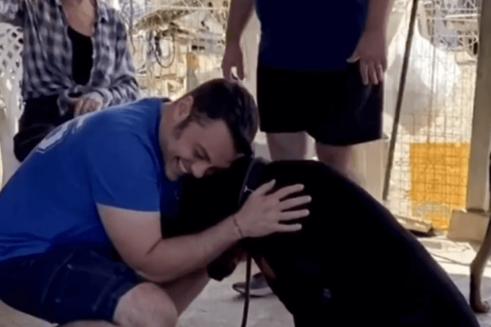Tiziano Ferro presenta Jake, il nuovo cane adulto adottato dopo la morte di Beau – video