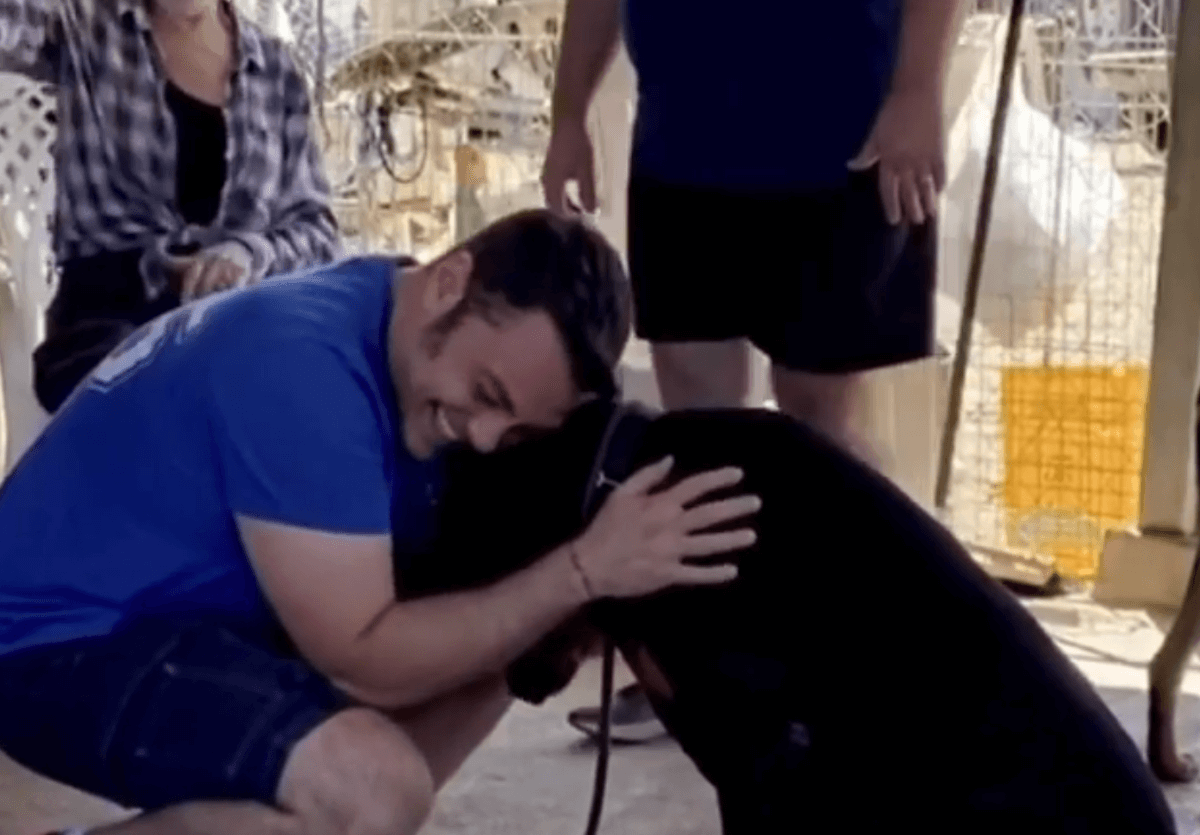 Tiziano Ferro presenta Jake, il nuovo cane adulto adottato dopo la morte di Beau – video