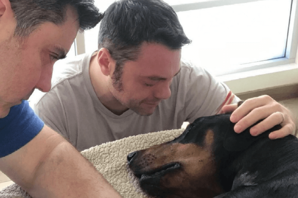 Tiziano Ferro piange la morte del cane Beau - Tiziano Ferro piange la morte del cane Beau - Gay.it