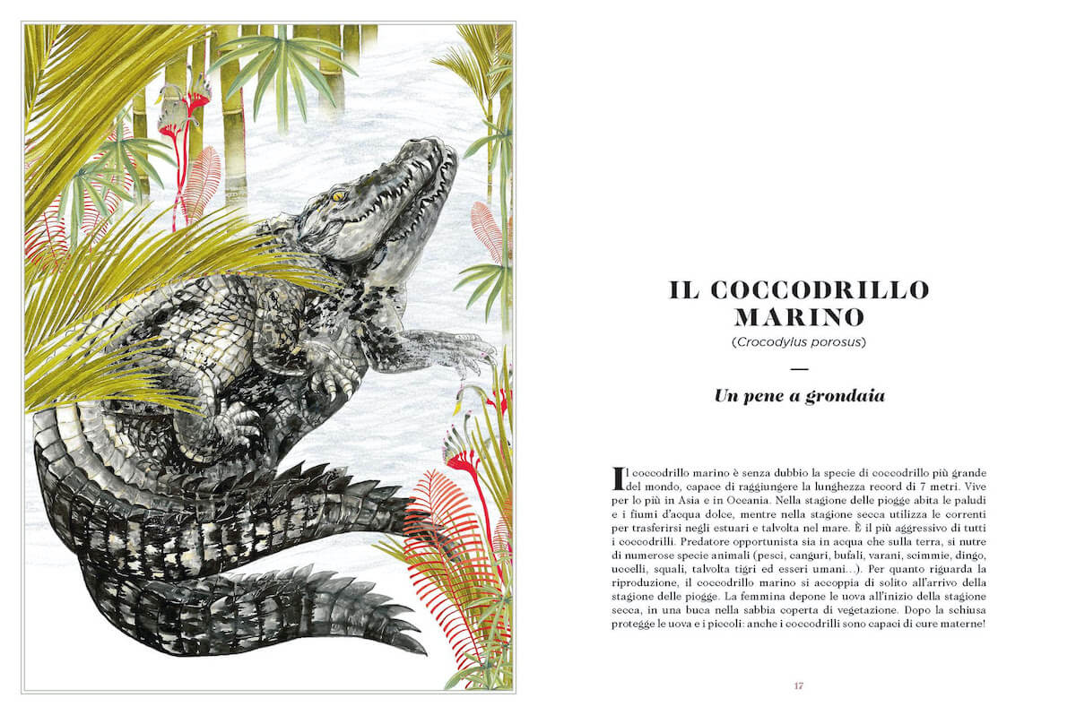 Sexus Animalus, la sessualità nel mondo animale diventa libro illustrato alla portata di tutti - Sexus Animalus 3 - Gay.it