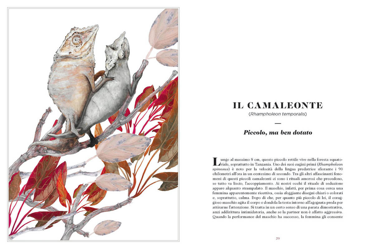 Sexus Animalus, la sessualità nel mondo animale diventa libro illustrato alla portata di tutti - Sexus Animalus 44 - Gay.it