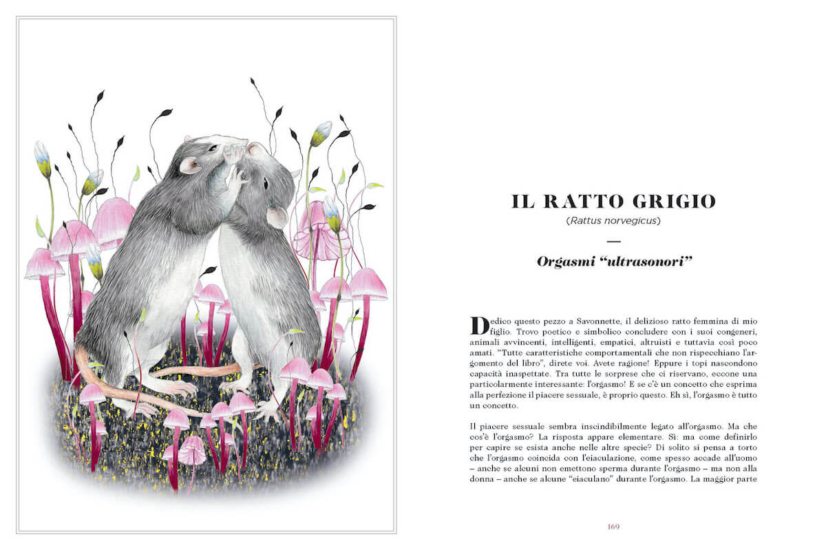 Sexus Animalus, la sessualità nel mondo animale diventa libro illustrato alla portata di tutti - Sexus Animalus 5 - Gay.it