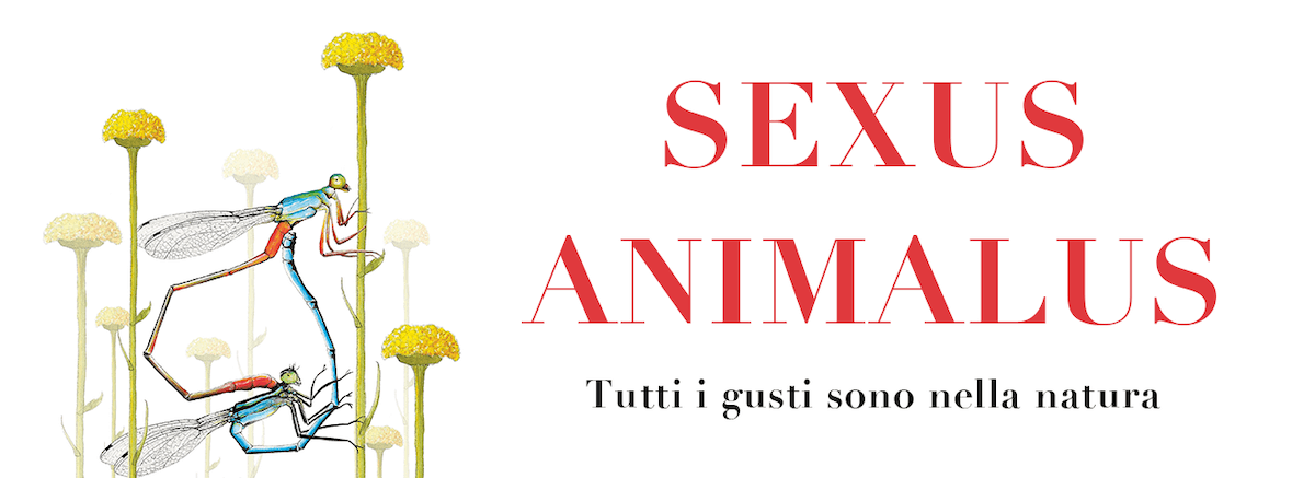 Sexus Animalus, la sessualità nel mondo animale diventa libro illustrato alla portata di tutti