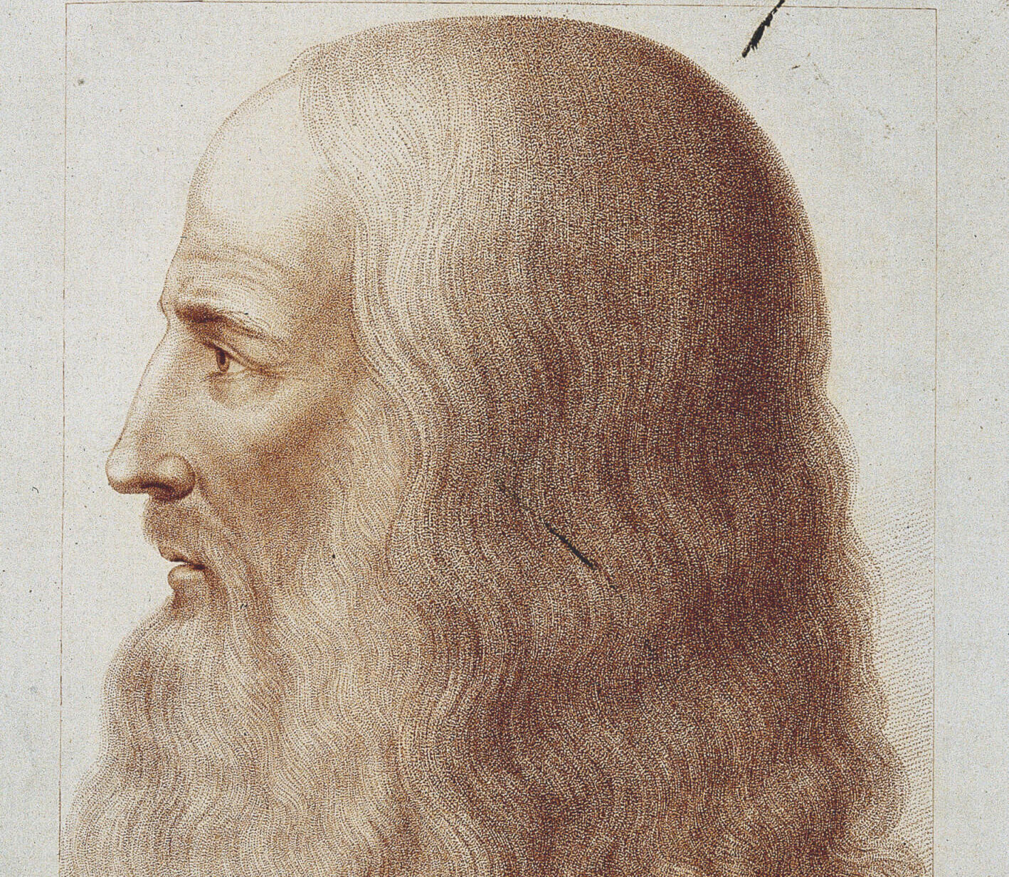leonardo da vinci gay