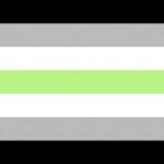 bandiera agender, significato bandiere lgbtq+ - Thumbnail