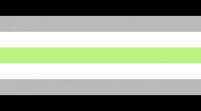 bandiera agender, significato bandiere lgbtq+
