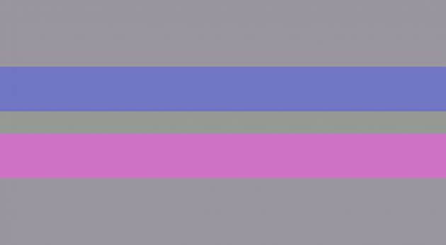 bandiera orgoglio androgino, bandiere lgbtq+