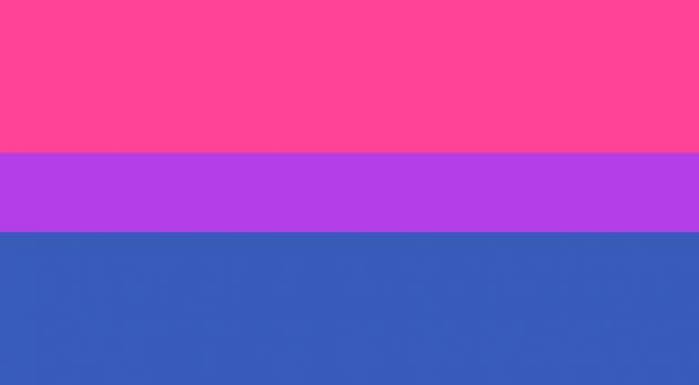 bandiere lgbtq, bandiera dell'orgoglio bisex
