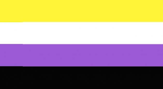 Bandiera dell’orgoglio non binary