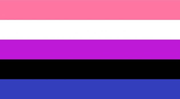 bandiera genderfluix, bandiere lgbtq+ significato