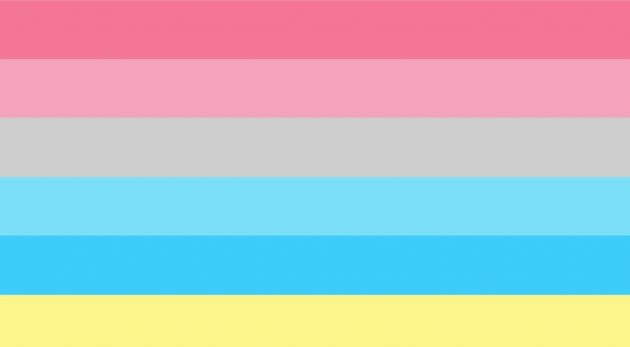 bandiera genderflux, bandiere lgbtq+