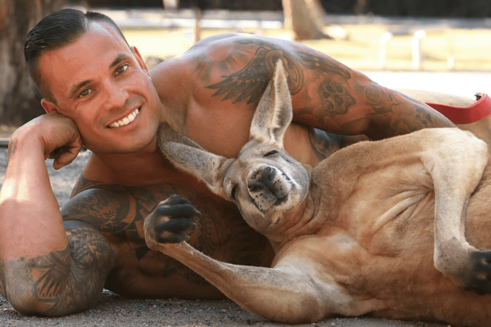 Pompieri australiani, il sexy calendario 2021 con gli animali - foto e video - pompieri australiani - Gay.it