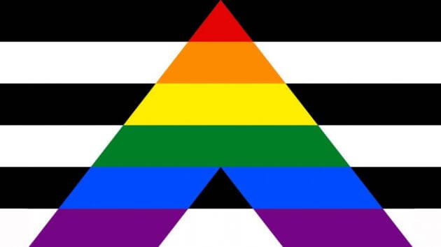 bandiera alleati etero, tutte le bandiere lgbtq+ significato