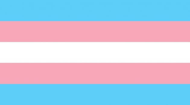 bandiera transgender, bandiere lgbtq, tutte le bandiere lgbt