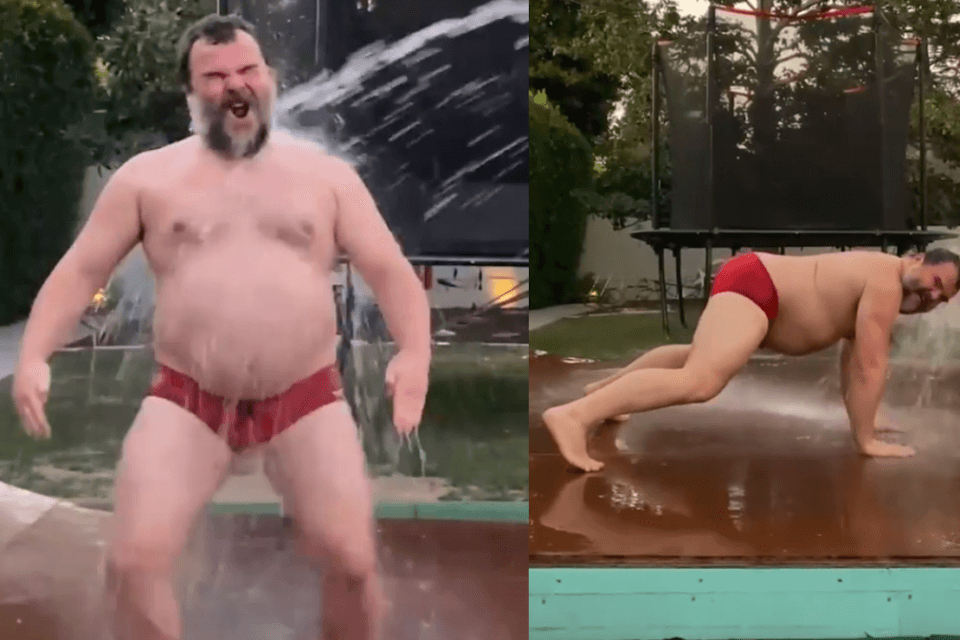 WAP challenge, Jack Black in costume fa impazzire i bear – il video social è virale