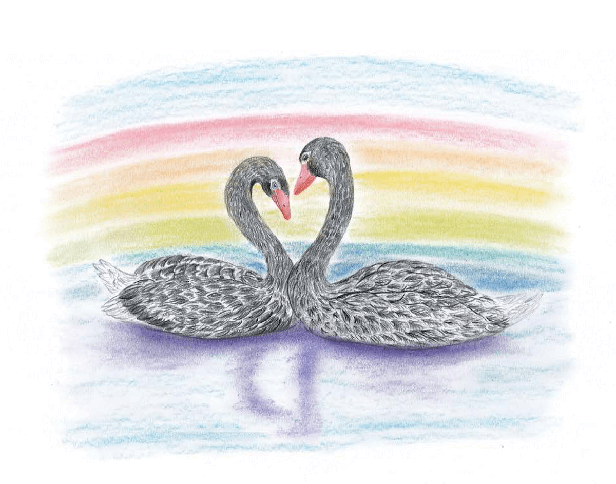 Il Cuore sul Lago, la favola con due cigni neri innamorati vittime di omofobia - Il Cuore sul Lago - Gay.it