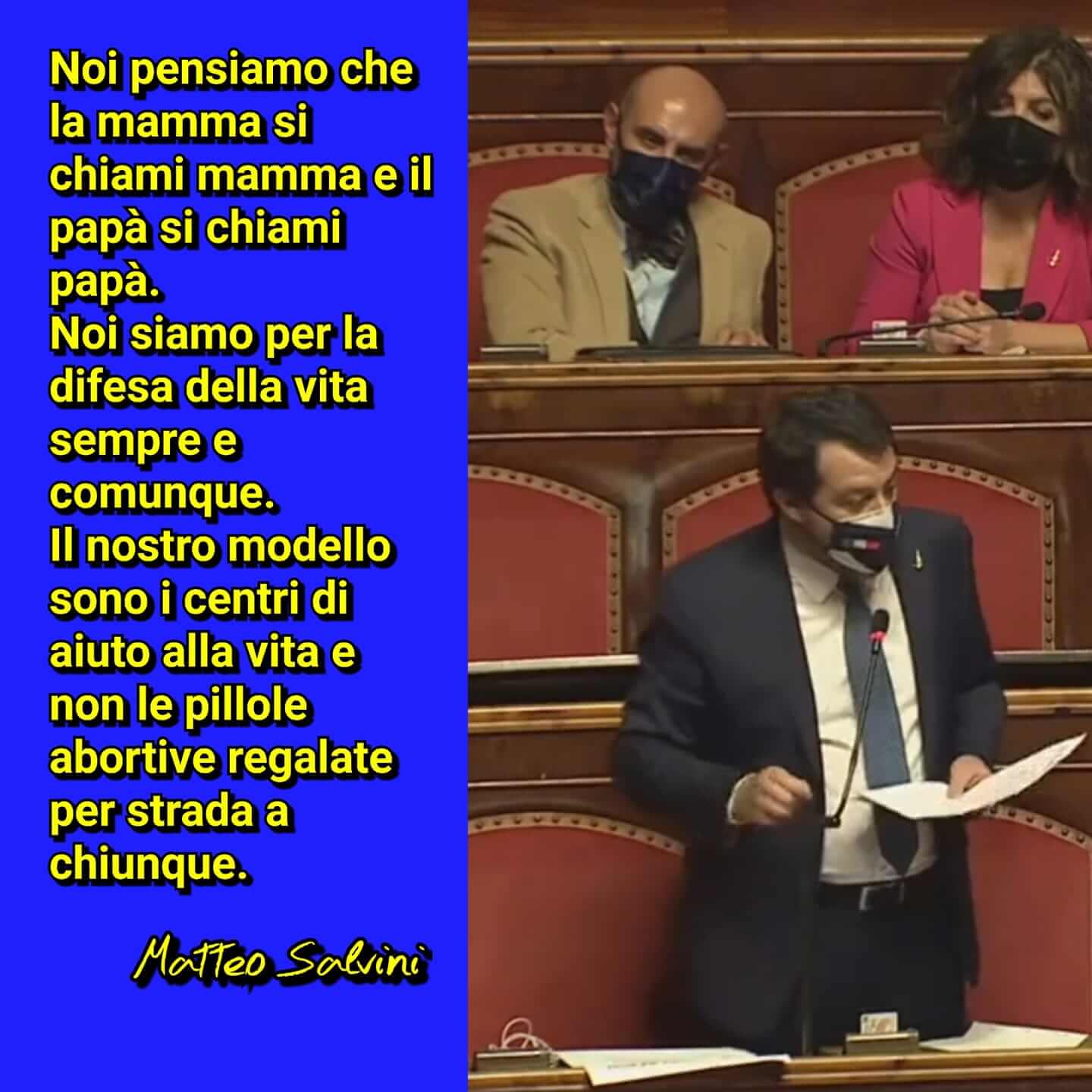Matteo Salvini al Senato ancora una volta contro le famiglie arcobaleno - Matteo Salvini - Gay.it