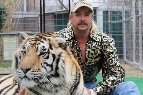 joe exotic