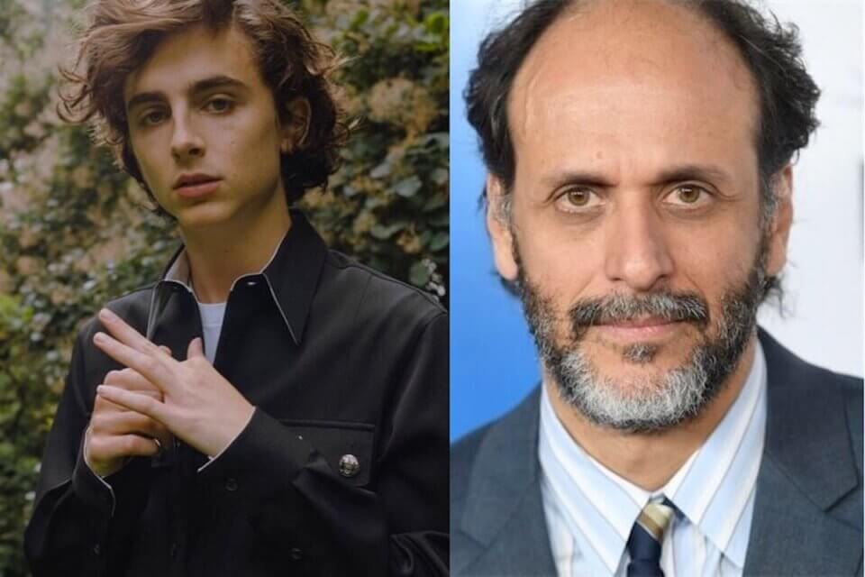 Bones and All, Luca Guadagnino ritrova Timothée Chalamet in una storia d’amore cannibale?