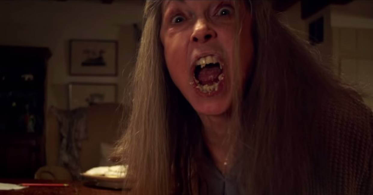Gli imperdibili film LGBT (e non) della settimana (15/21 febbraio) sulla tv generalista - the visit - Gay.it