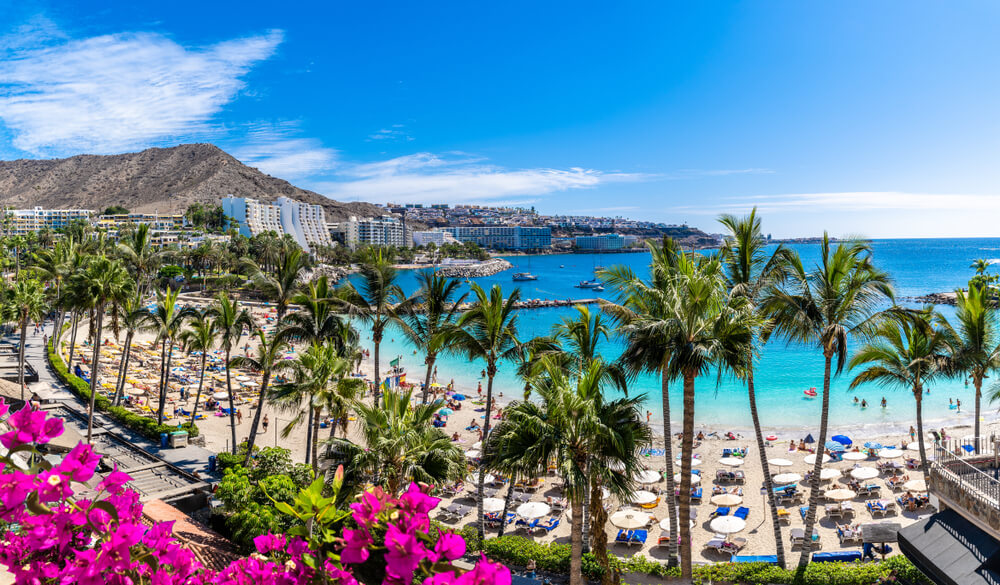 Vorresti evadere dalla routine? La soluzione è lo smart working in Spagna - gran canaria - Gay.it
