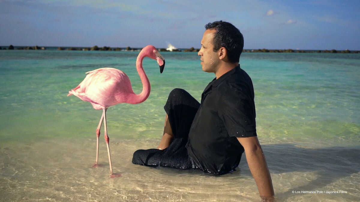 Lovers Film festival 2021, il programma ufficiale: tutti i film e tutti gli ospiti - OFF The Mystery of the Pink Flamingo 01 - Gay.it