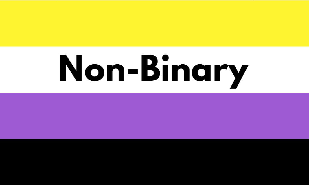Non binarismo e identità di genere: 8 importanti news che abbiamo scritto - bandiera non binary 1 - Gay.it