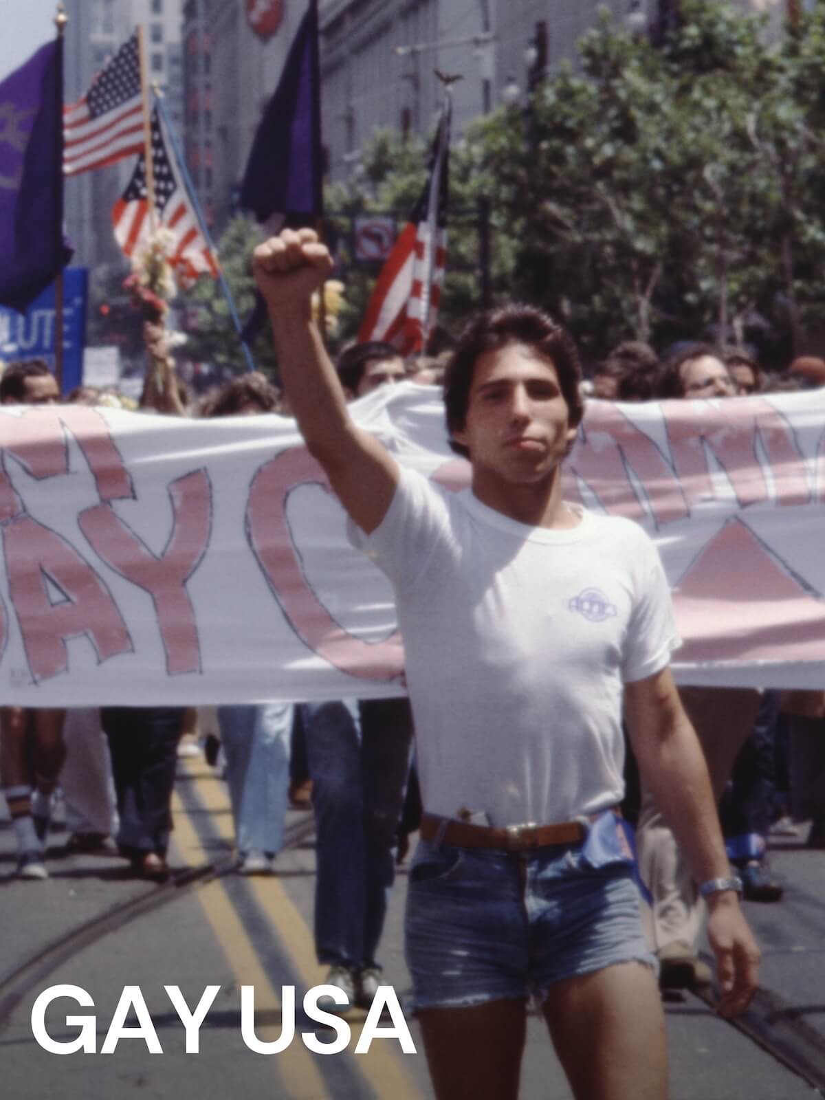 Orgoglio senza Pregiudizio, MUBI celebra il Pride Month con 23 film a tematica LGBT - gay usa 1 - Gay.it