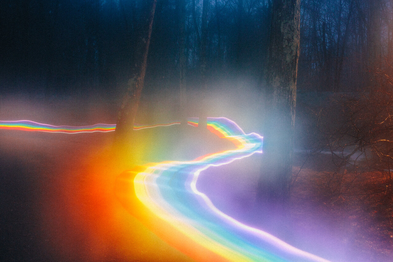 DDL Zan, la comunità lgbt+ NON vuole mediazioni –  i risultati del nostro sondaggio