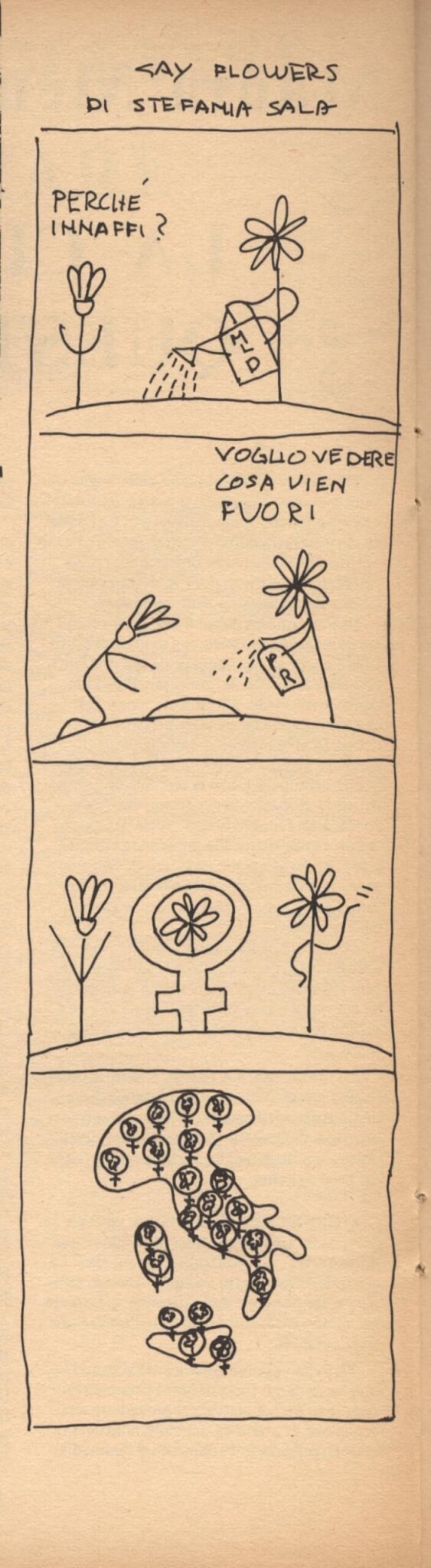 Gay Flower di Stefania Sala, da num 13 Fuori!2
