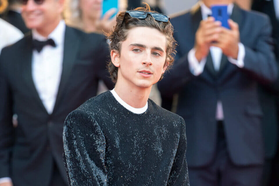 Timothée Chalamet ci insegna che ogni umano è queer