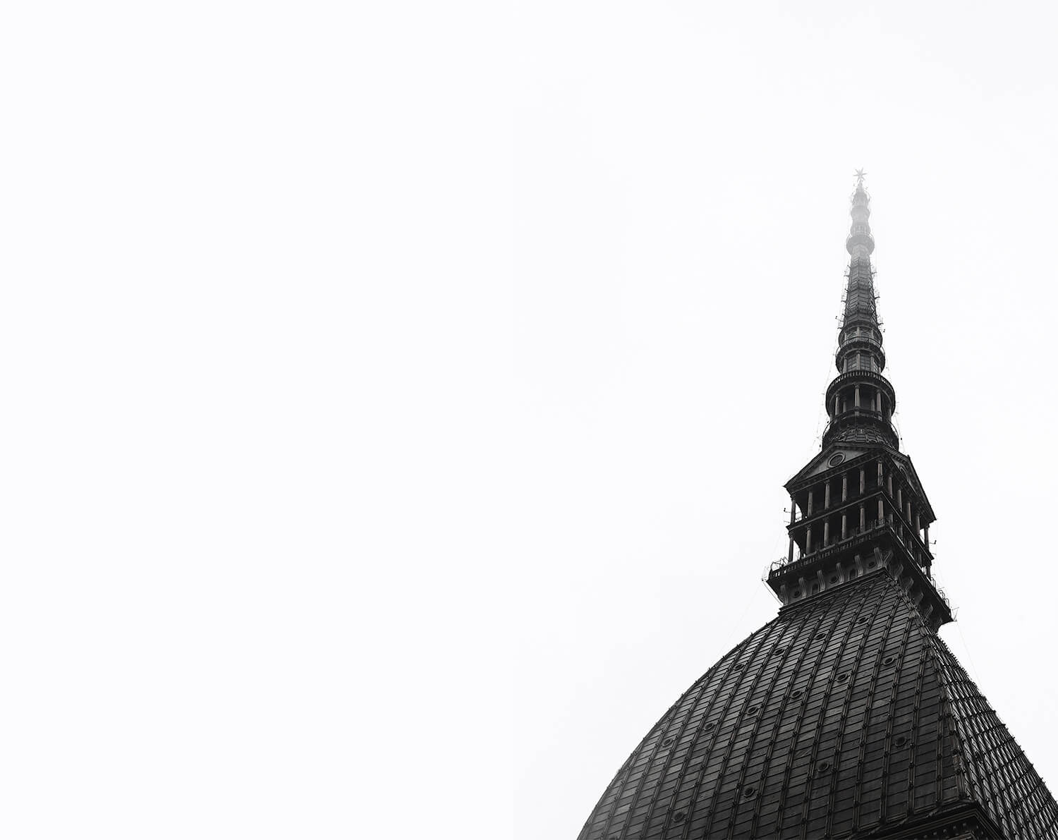 torino elezioni 2021