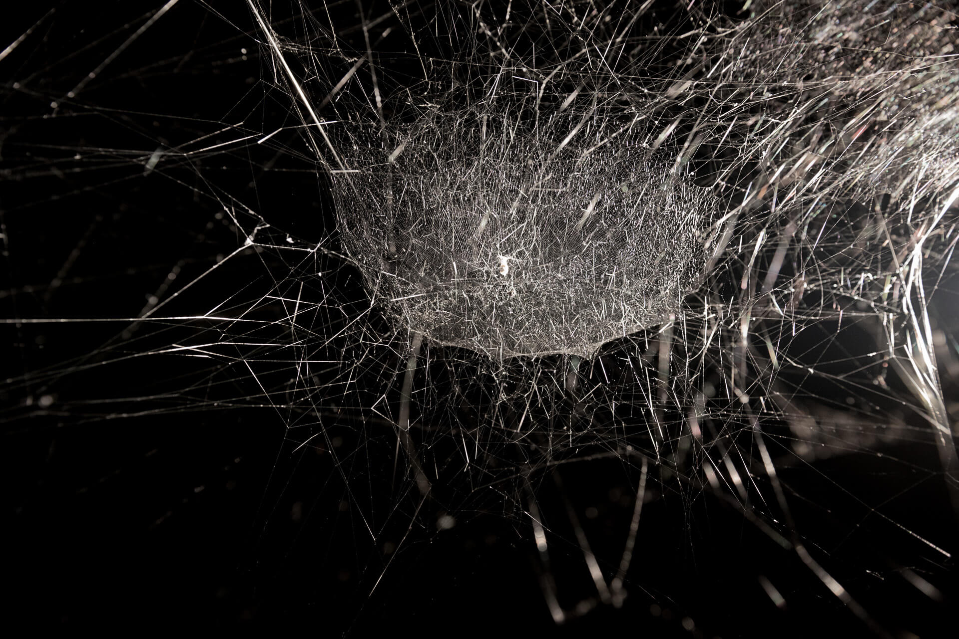 tomas saraceno, arte e ambiente, artisti ambientalisti contemporanei