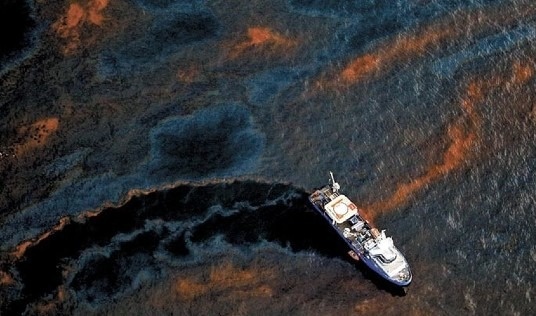 Disastro ambientale: fuoriuscita di petrolio al largo della California - FA3fWwMWUAwI4GD 6 - Gay.it