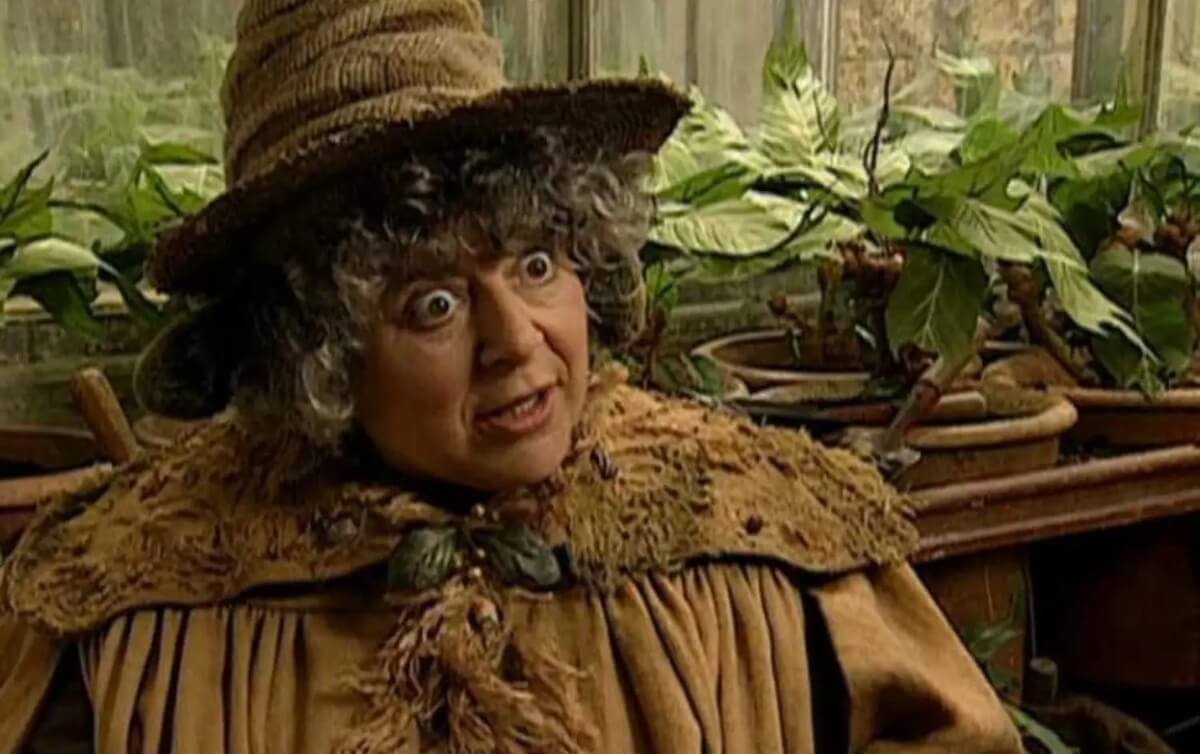 J.K. Rowling transfobica, ora Miriam Margolyes la difende: “Critiche fuori luogo, è una donna generosa”