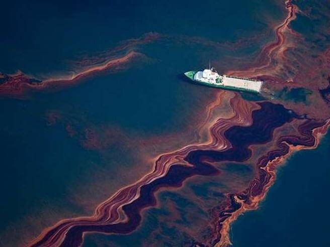 Disastro ambientale: fuoriuscita di petrolio al largo della California - petrolio mare batteri kf6d u3210241006185r3f 593x443corriere web - Gay.it