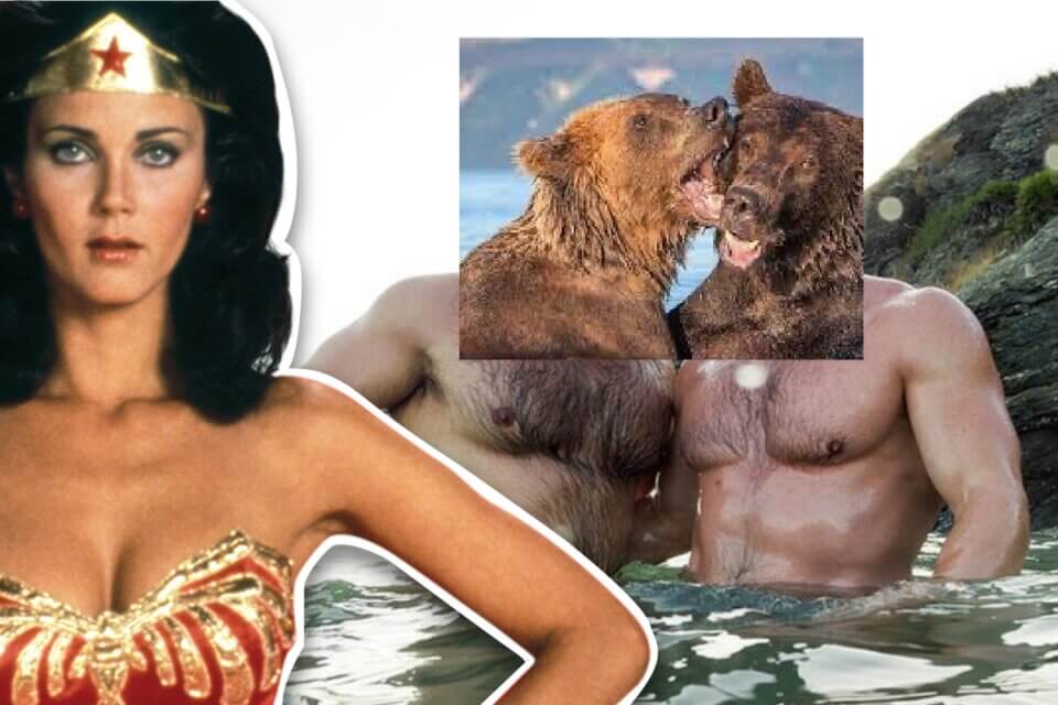 Lynda Carter, Wonder Woman scambia gli orsi reali per i bear omosessuali. Il tweet è virale - wonder woman bear - Gay.it