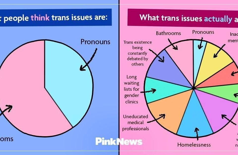 Vita transgender e quello che pensa la gente: il pungente meme di Pink News
