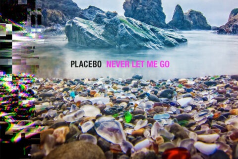 Placebo Mantova Milano