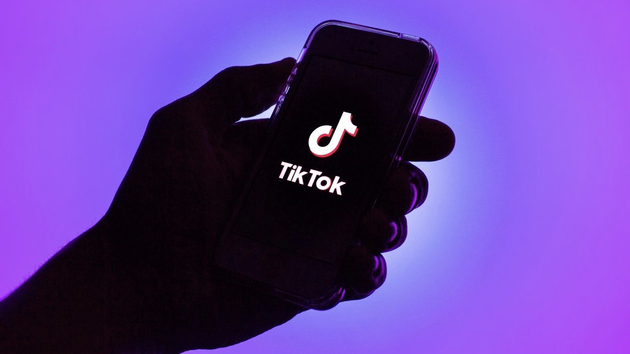 Le voci Disney non possono dire “gay” e “lesbica”: è polemica con TikTok