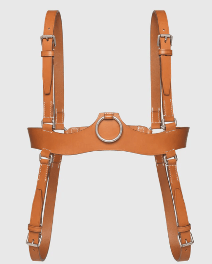 Harness Gucci
